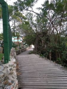 Img 20200726 133506586